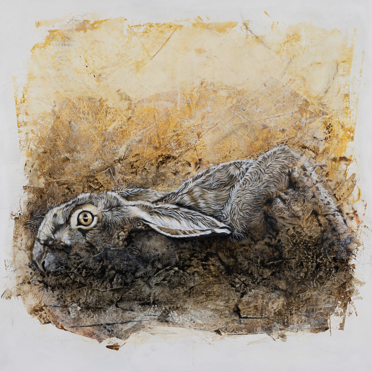 Galerie Petit gibier et Oiseaux