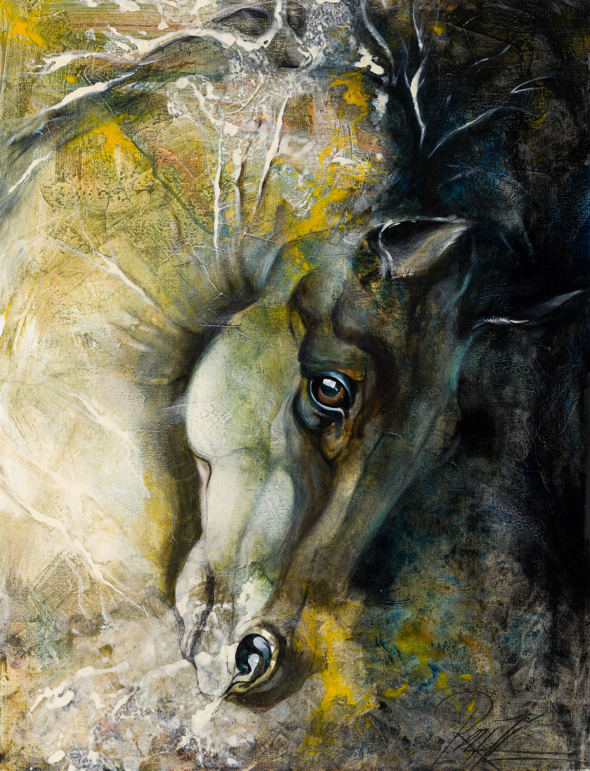 Galerie Ours et Equidés