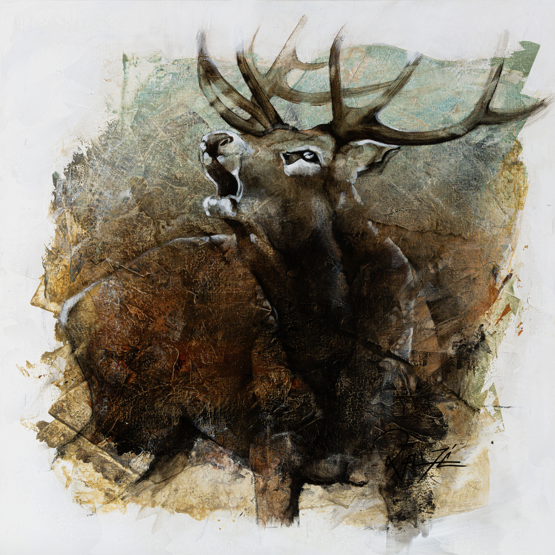 Galerie Cerfs Chevreuils Sangliers